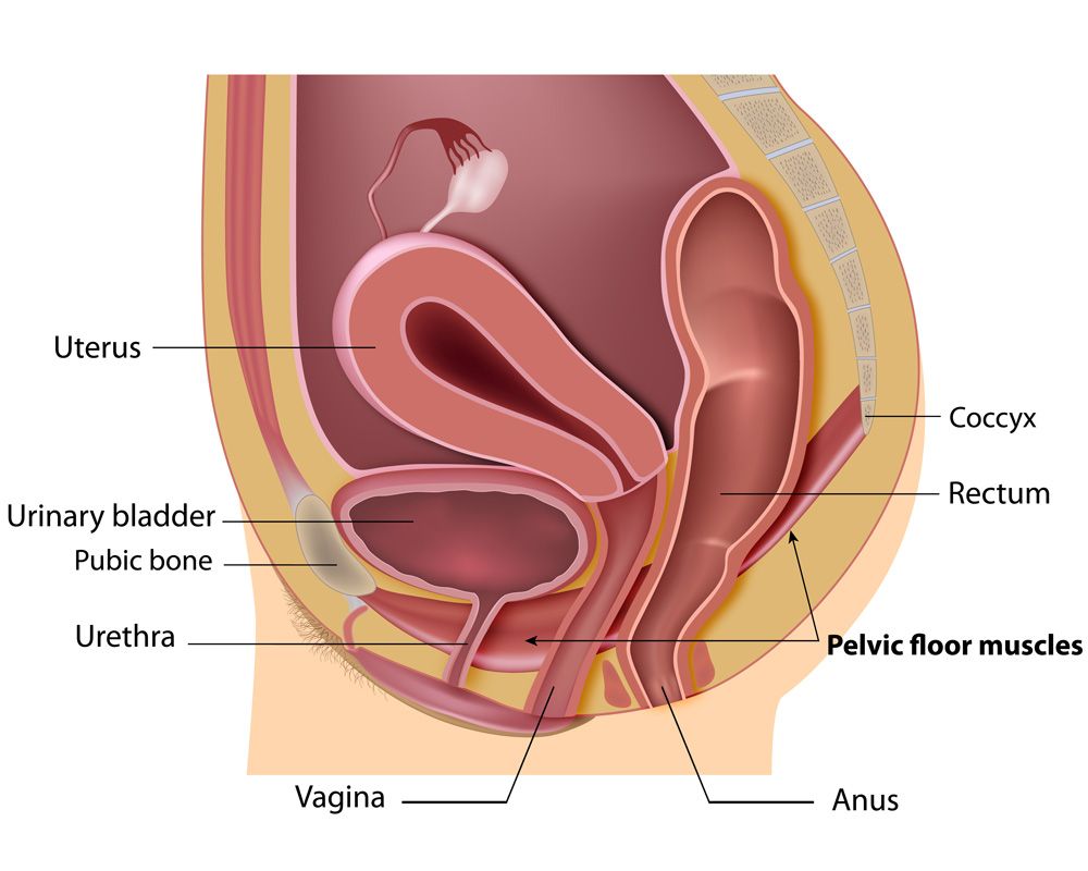 Urogynecology Bladder Problems Diagnosis And Treatment